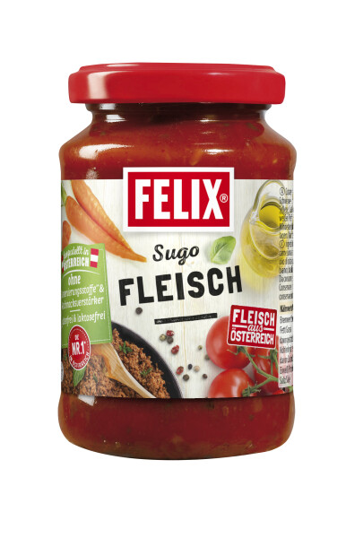 Felix Sugo Fleisch 