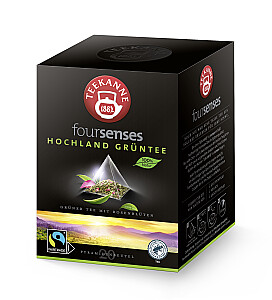 Teekanne Foursenses Hochland Grüntee