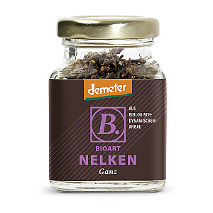 BioArt Nelken ganz