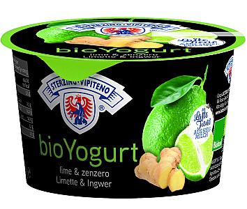 Sterzinger Joghurt Bio Yoghurt Limette/Ingwer